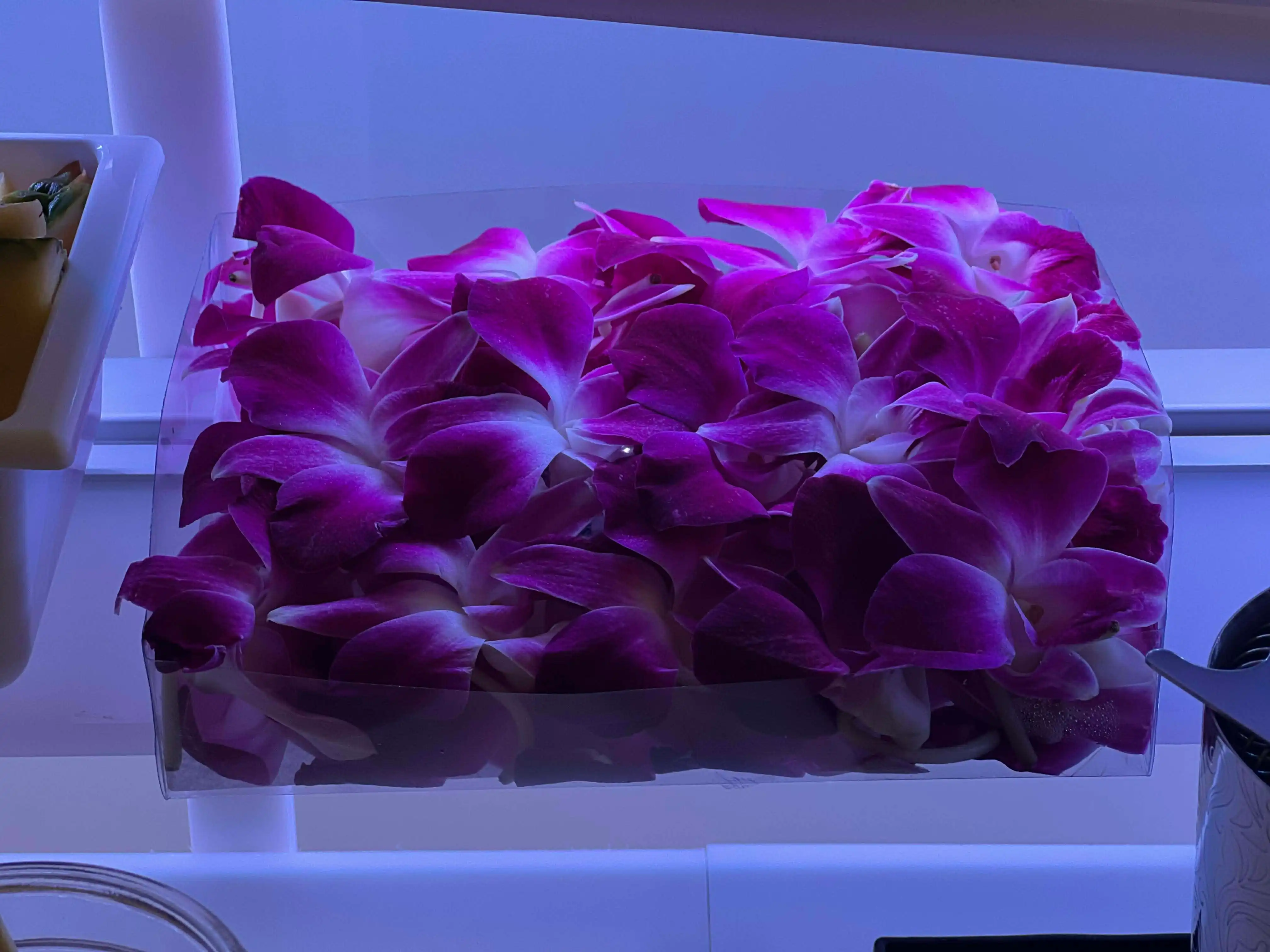 Received 3576331562519730 - Coastal Mixx Event Photo